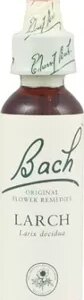 Bachovy esence Larch 20 ml