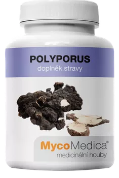 MycoMedica Polyporus 90 cps.